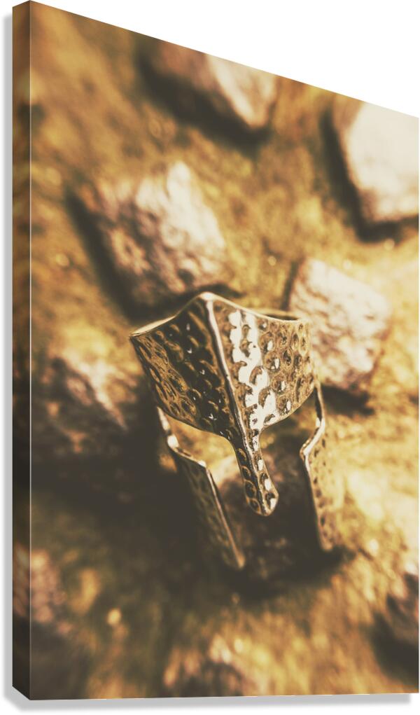 Forged in the crusades Canvas Print