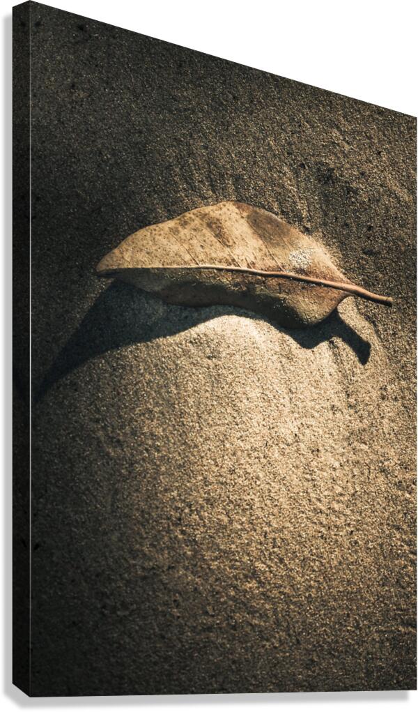 The desert burial Canvas Print