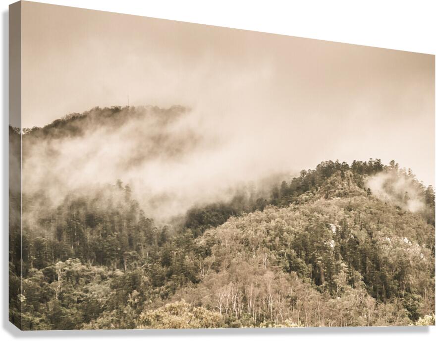 Elevated wonder Canvas Print