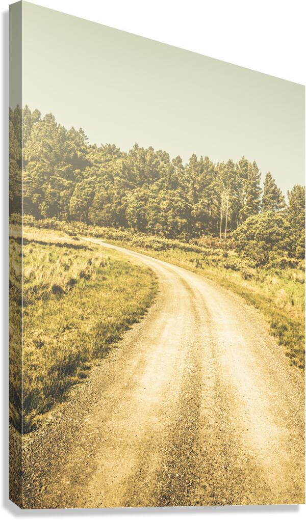 Empty curved gravel road in Tasmania Australia Canvas Print