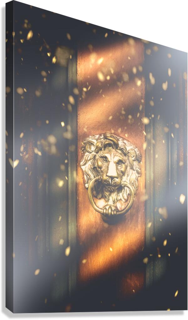 Brave the cold Canvas Print