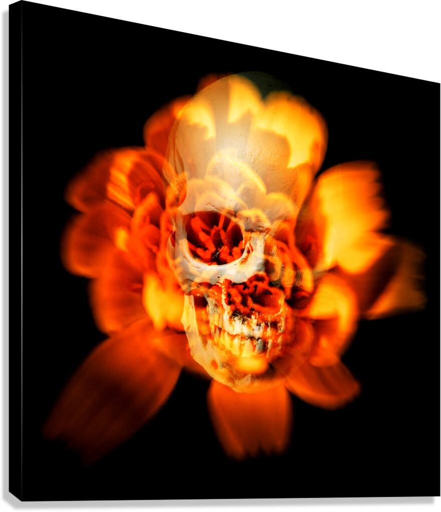 Flower skull Canvas Print