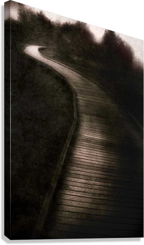 Forest Of Darkness Canvas Print