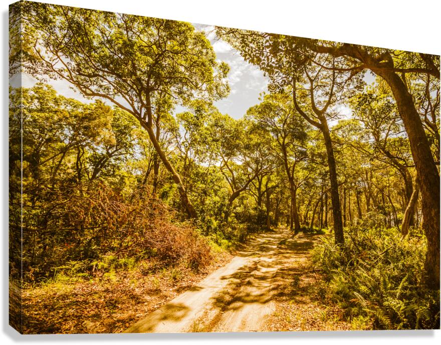 Nth Stradbroke Is. Canvas Print