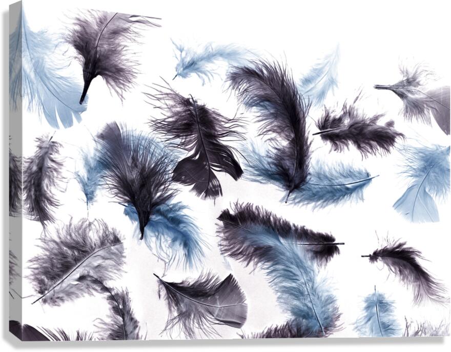 Wisp air Canvas Print