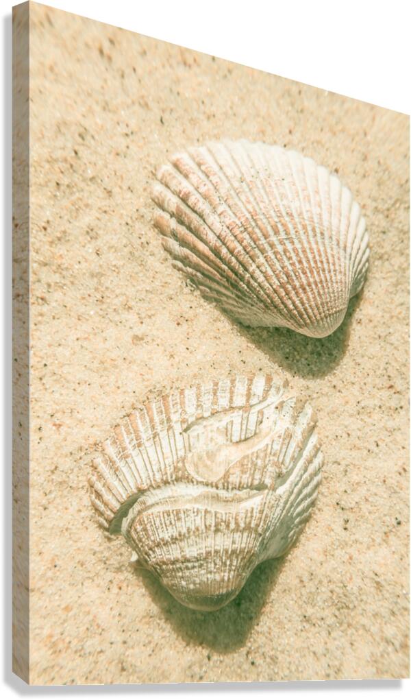 Pastel pacific Canvas Print