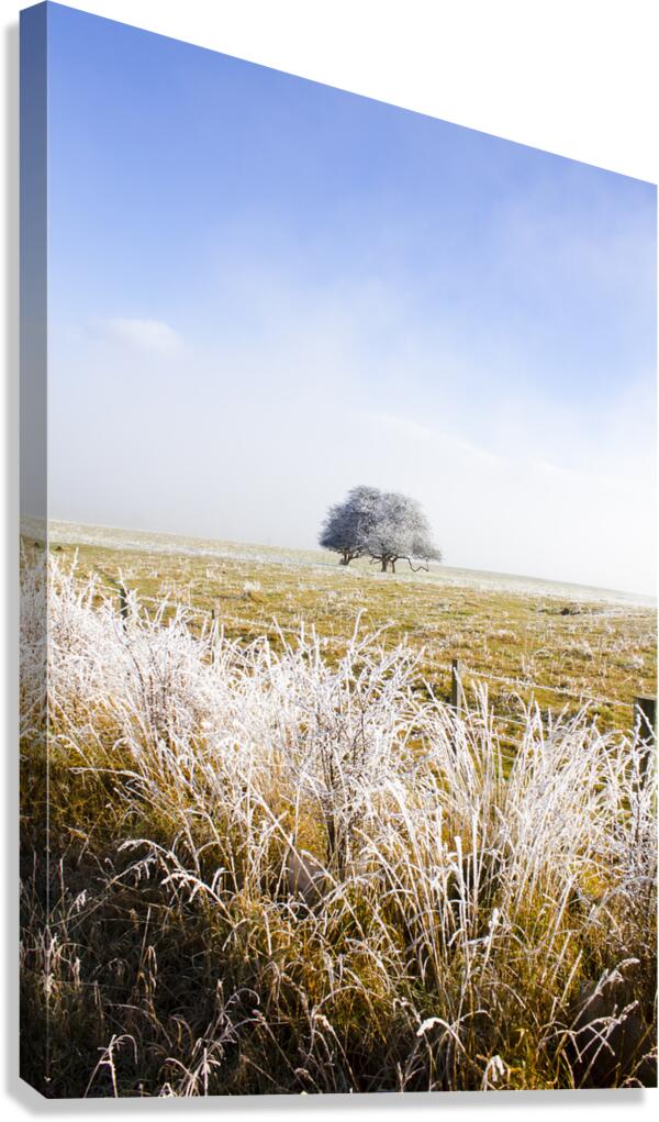 Fairytale winter in Fingal Canvas Print