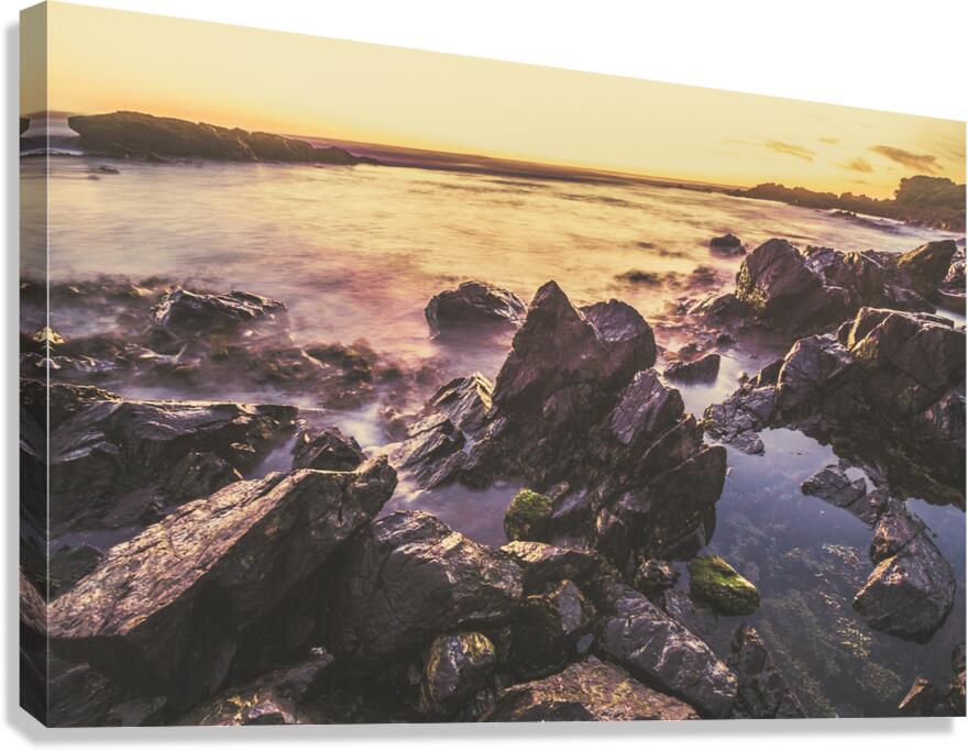 Sunset rock pools Canvas Print