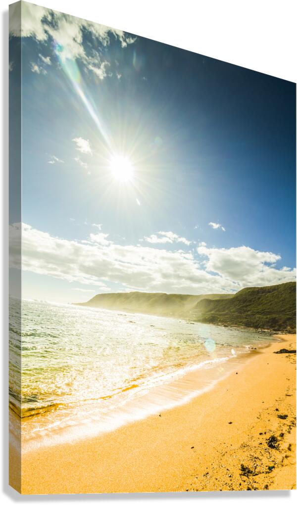 Beautiful coast with distant mountains Canvas Print