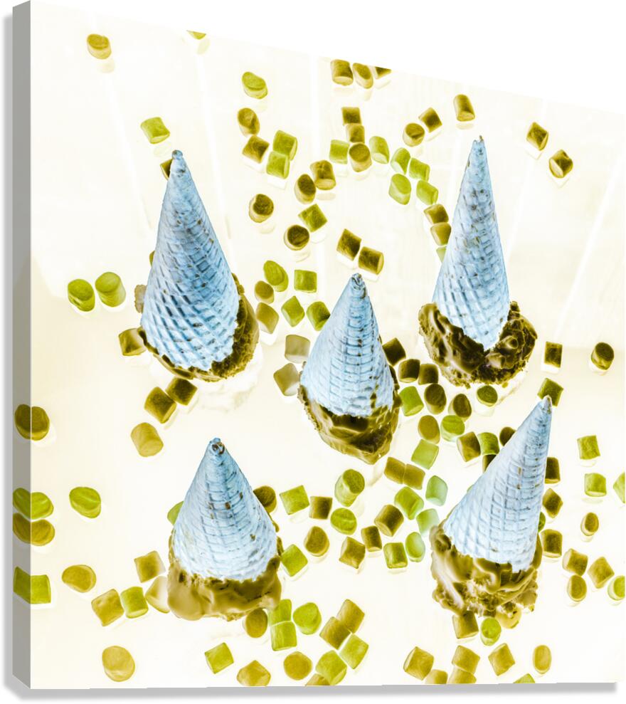 Desserted Canvas Print