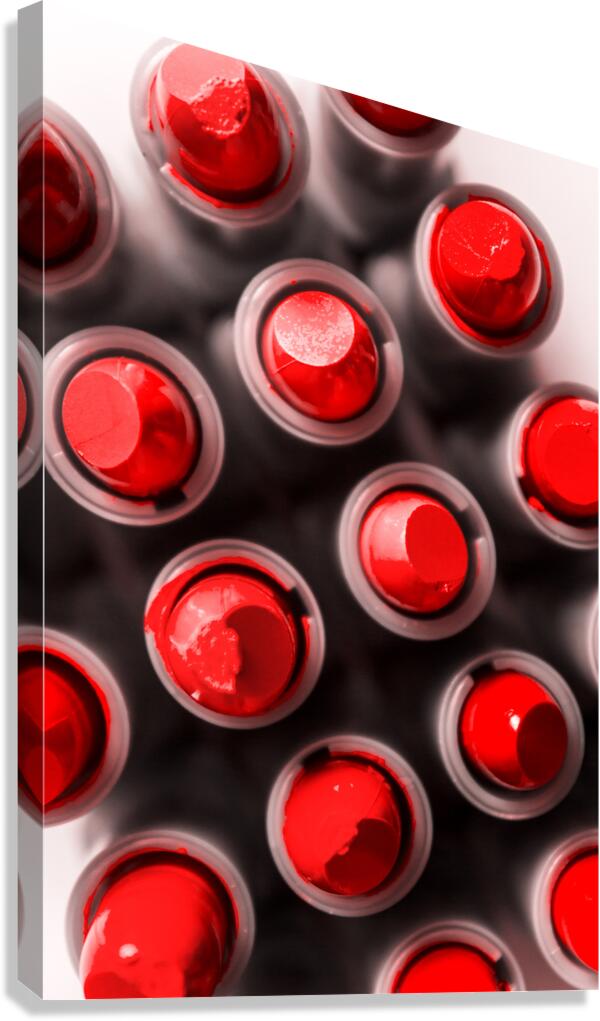 Fine art makeup Canvas Print