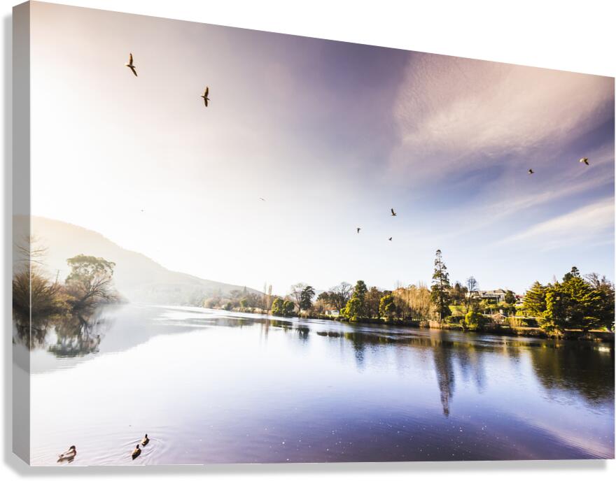 Derwent River reflections Canvas Print