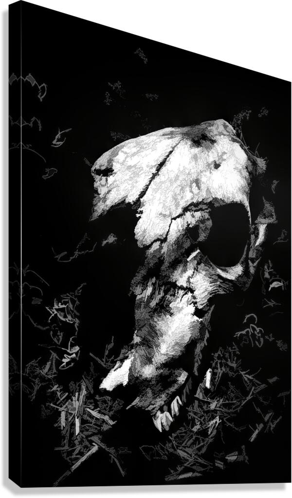 Country contrast Canvas Print