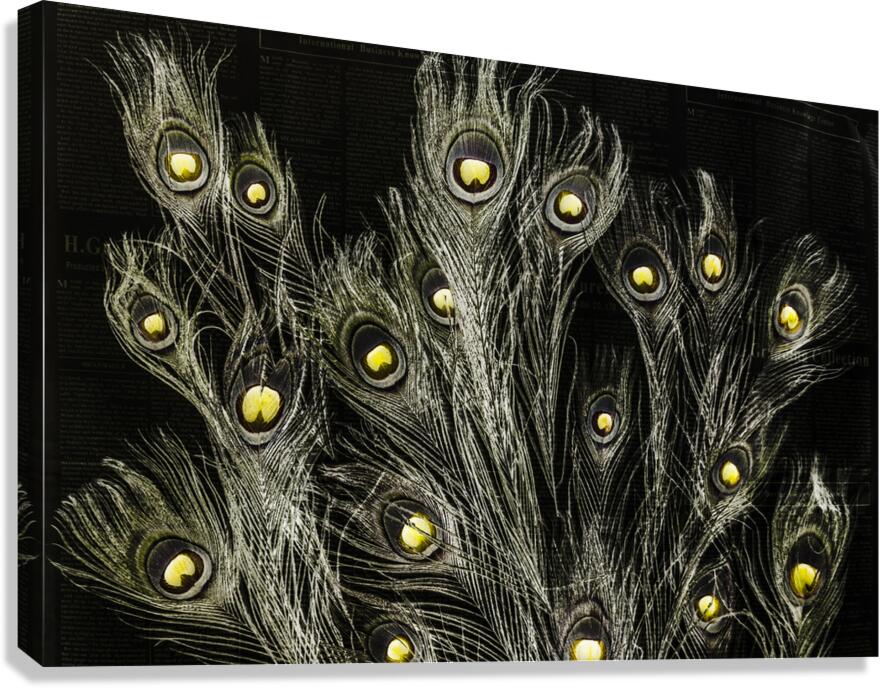 Of many eyes Canvas Print