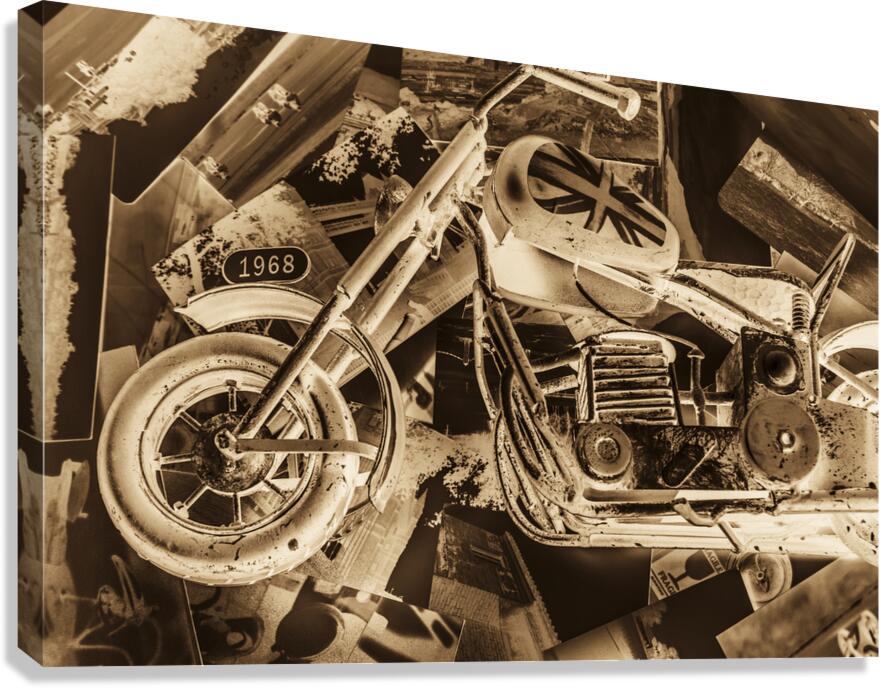 Racing specs Canvas Print