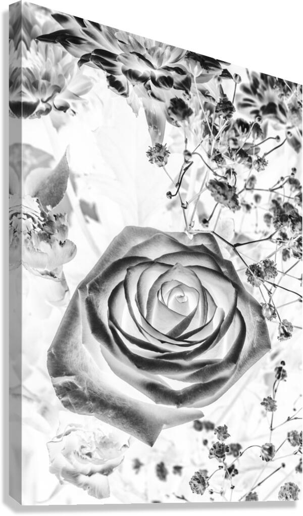 Harmonics inverted Canvas Print