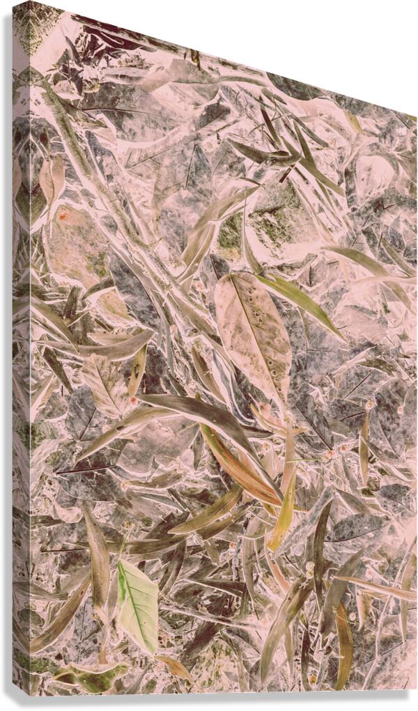 Awash in nature Canvas Print