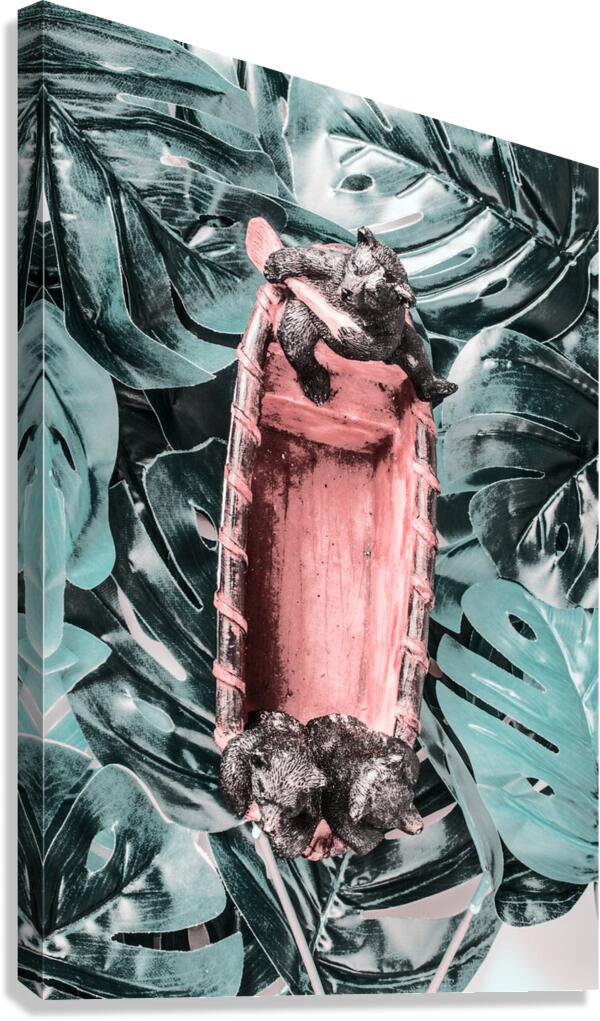 Jungle discovery Canvas Print