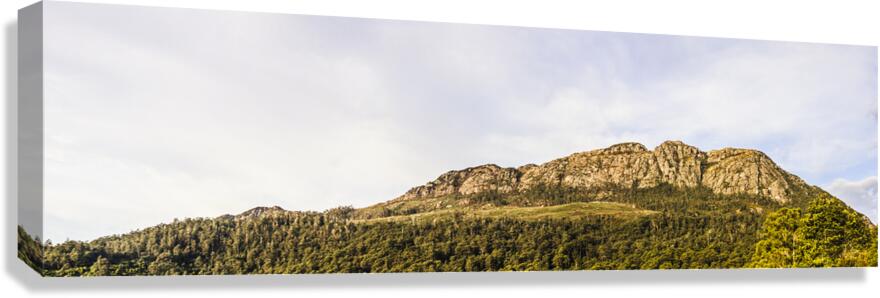 Mount Farrell Regional Reserve in Western Tasmania Canvas Print
