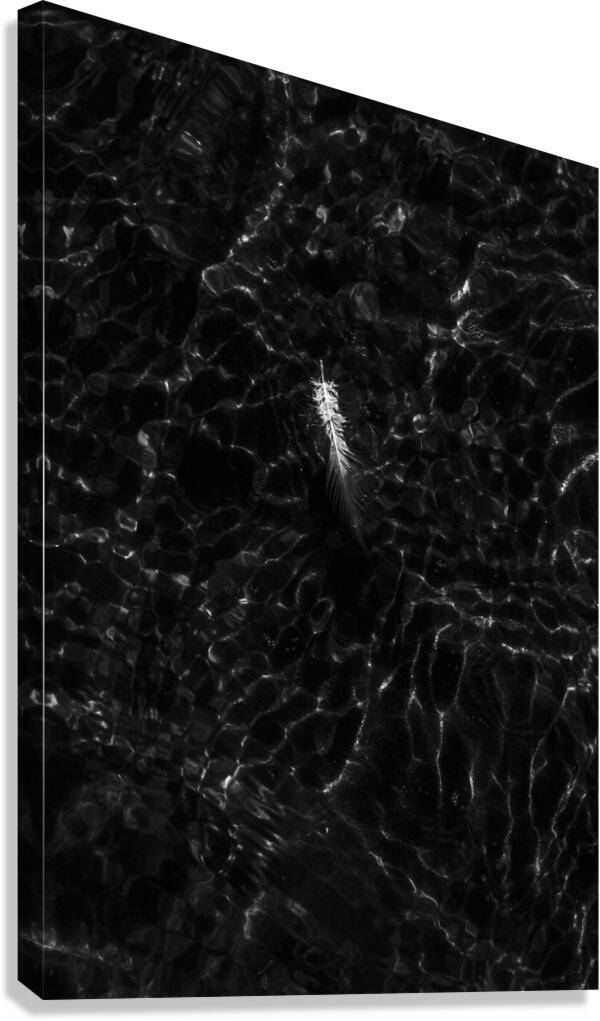 The drift Canvas Print