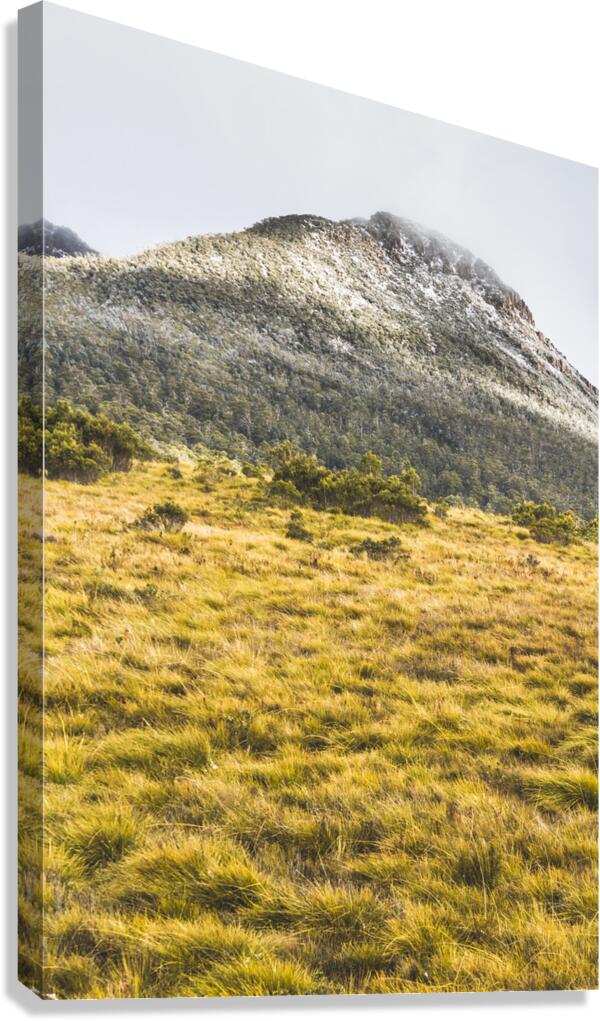 Peaks and plateaus Canvas Print