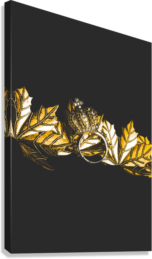 Royal crown jewels Canvas Print