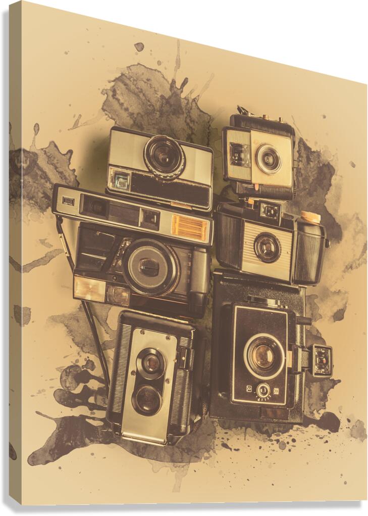 Emulsion Canvas Print