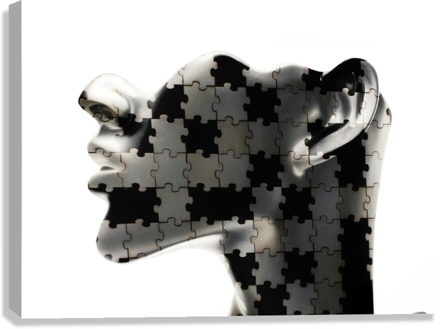 The human quest Canvas Print