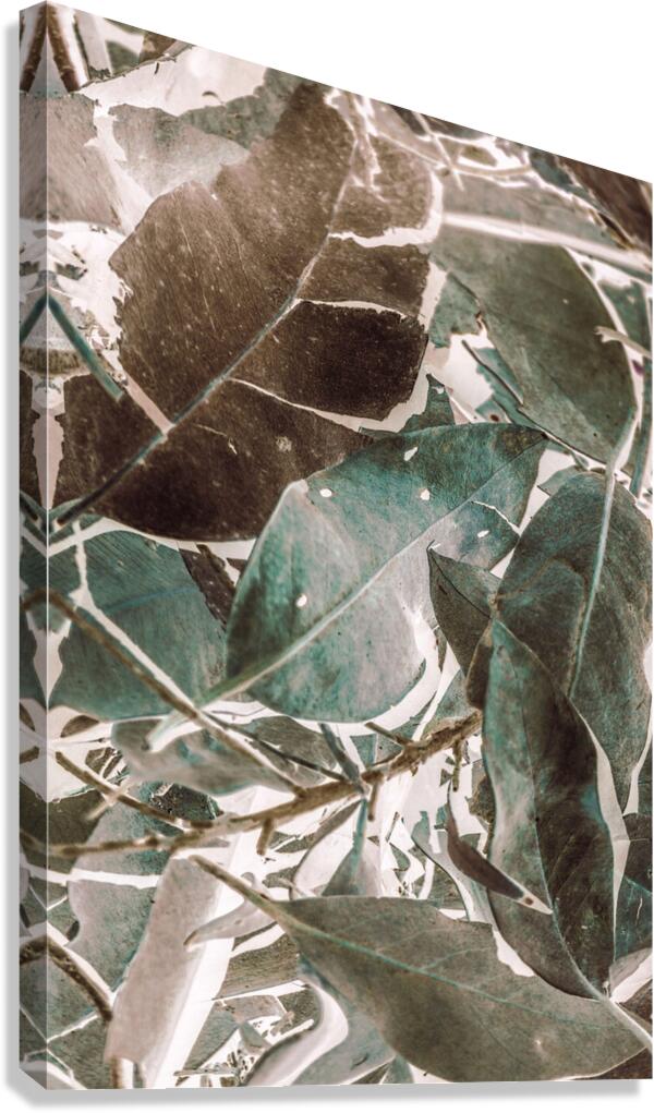 De Composition Canvas Print