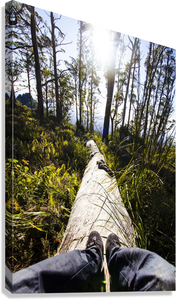 Explore tasmania Canvas Print
