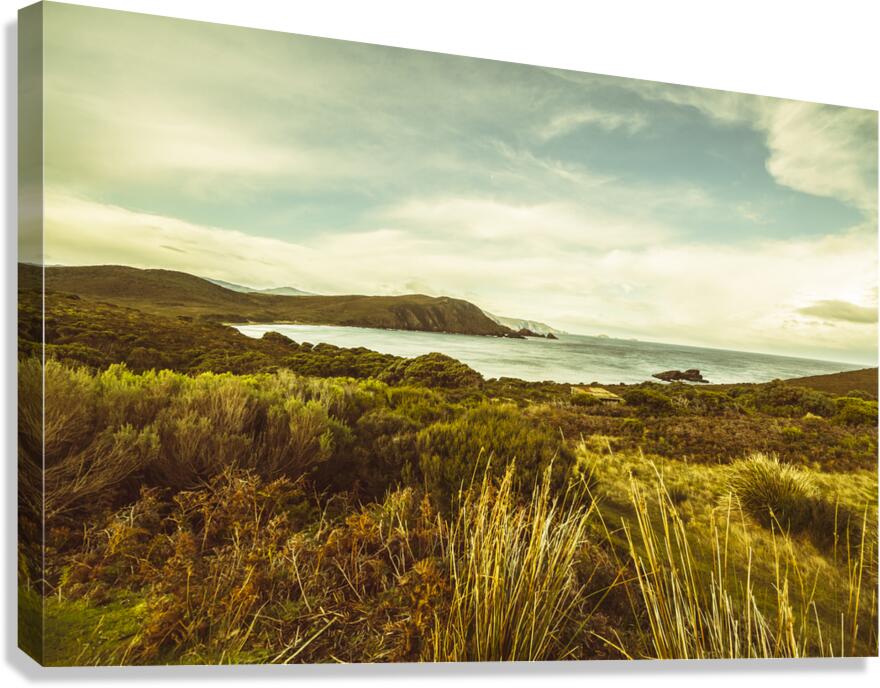 Lighthouse Bay Beach Bruny Island Canvas Print