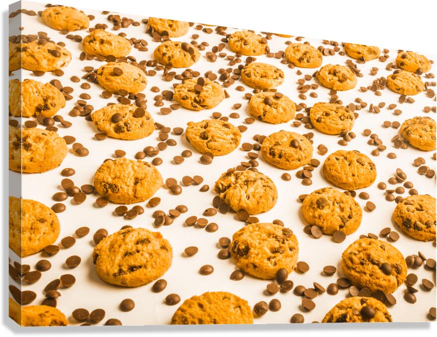 Visual treat Canvas Print