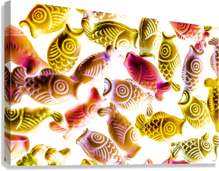 Colorkoi Canvas Print