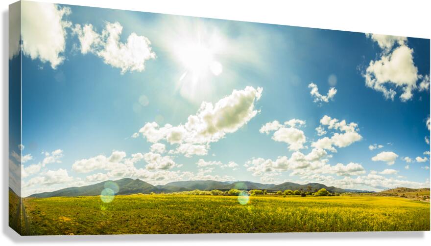 Spring country Canvas Print