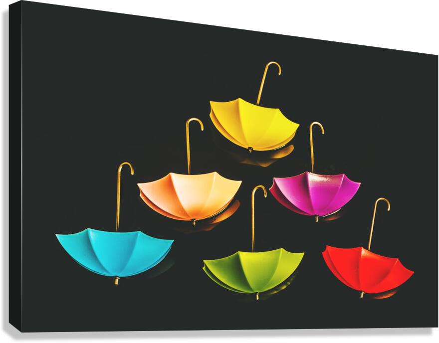 Weather or not Canvas Print