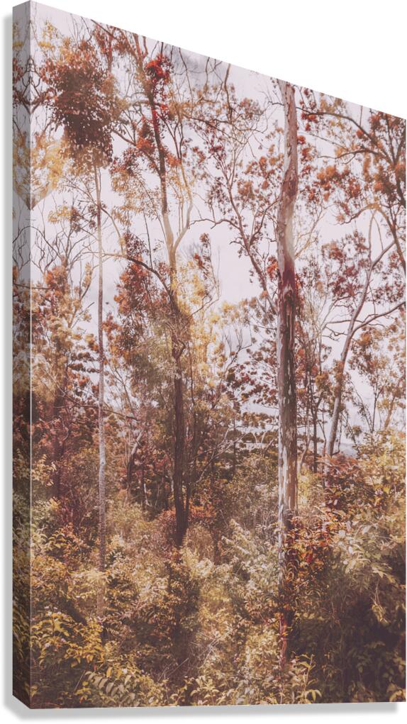 Backcountry colour Canvas Print