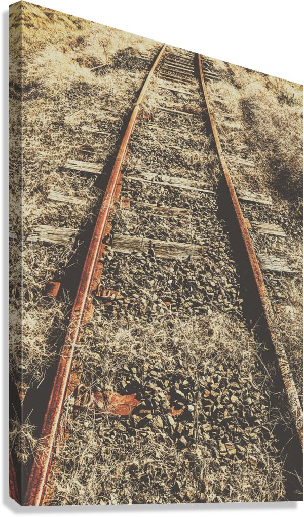 Western railway of routes forgotten Canvas Print