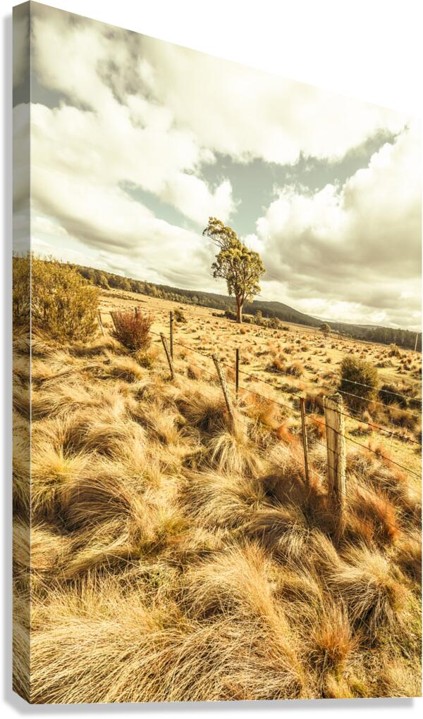 Peaceful country plains Canvas Print