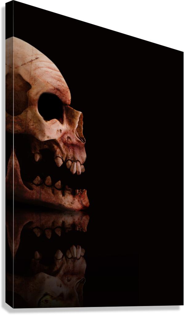 Scary Skull Canvas Print