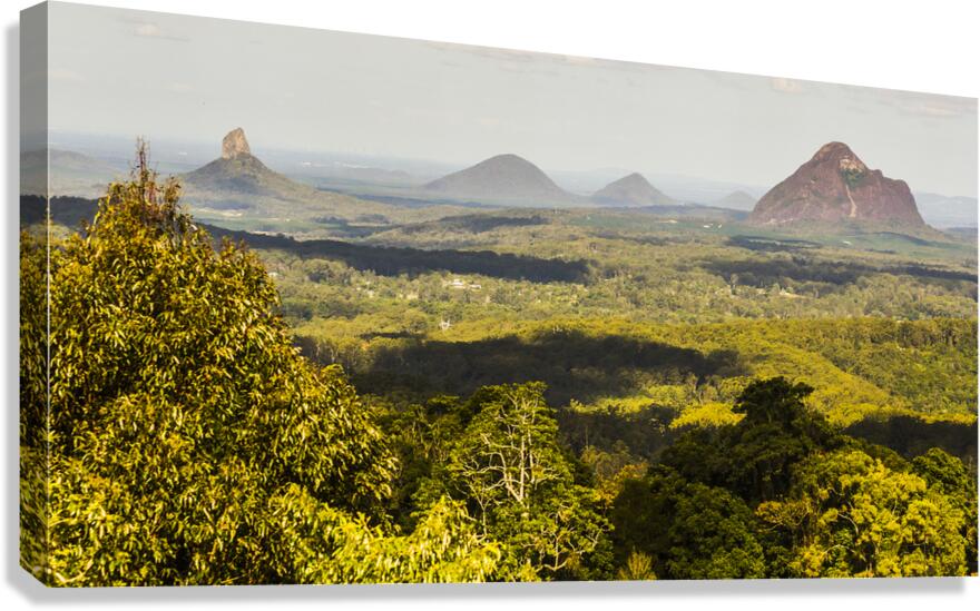 Majestic Maleny and beyond Canvas Print