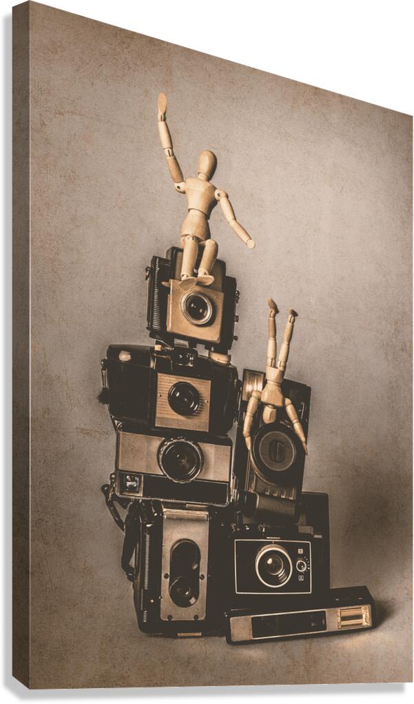 Before there was image stabilisation Canvas Print