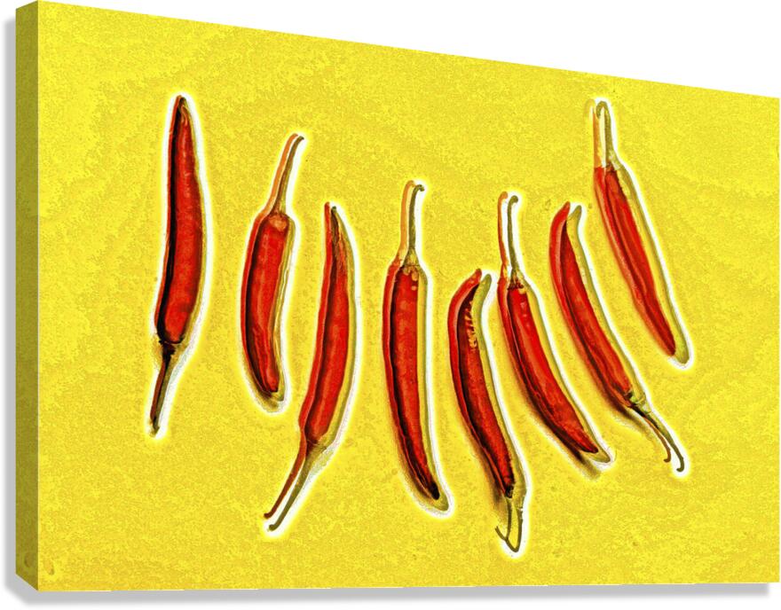 Hotlucination  Canvas Print