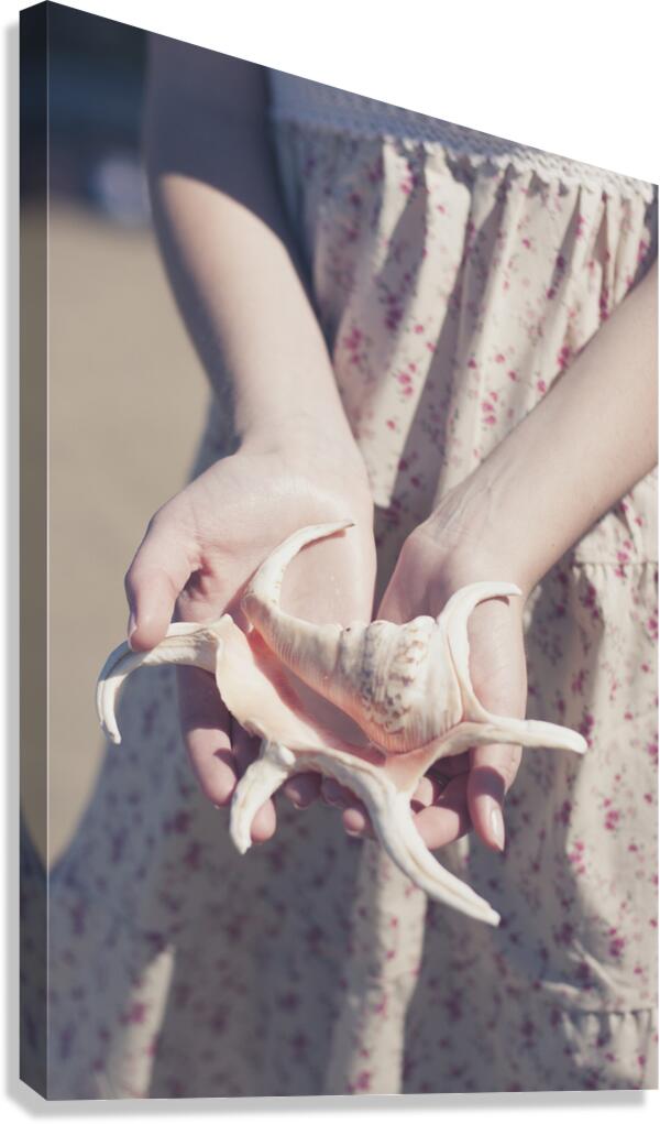 Hands Holding Large Seashell Canvas Print