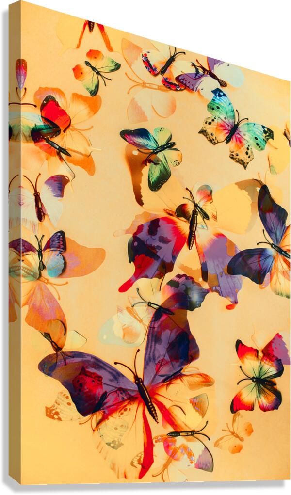 Group of Butterflies with Colorful Wings Canvas Print