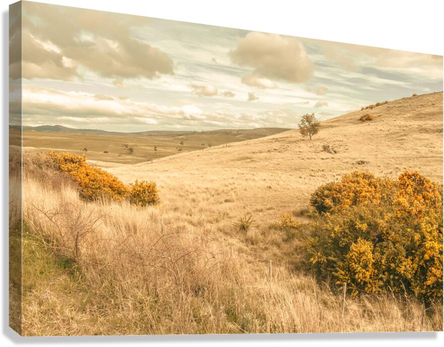 Meandering hills Canvas Print