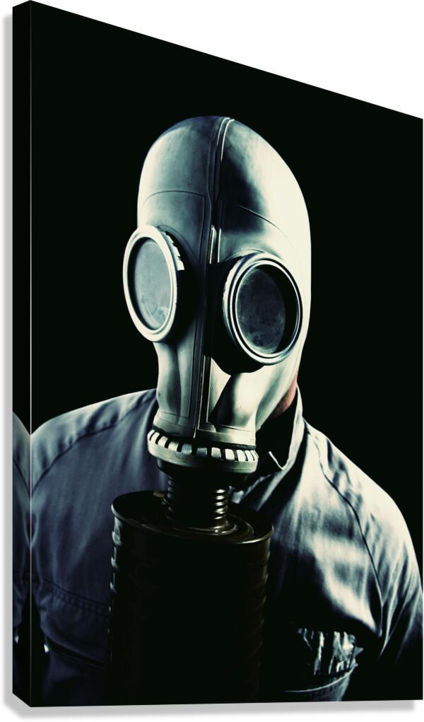 Before The Fall Canvas Print