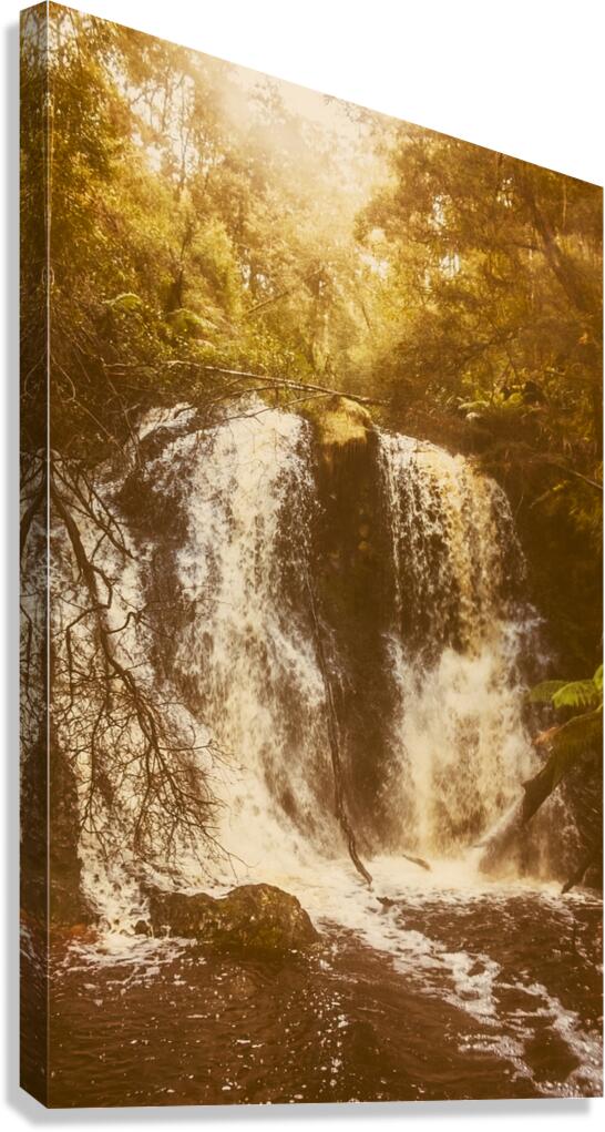 Wonder Fall Canvas Print