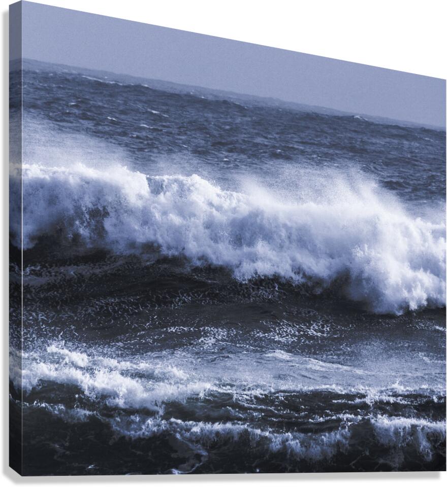 Wild coastal mist Canvas Print