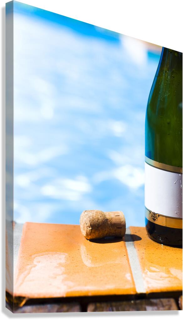 Summer Party Canvas Print