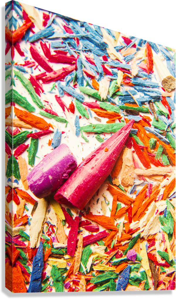 Artistic disruption Canvas Print